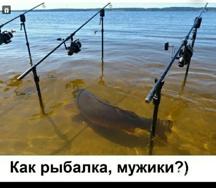 Как рыбалка мужики