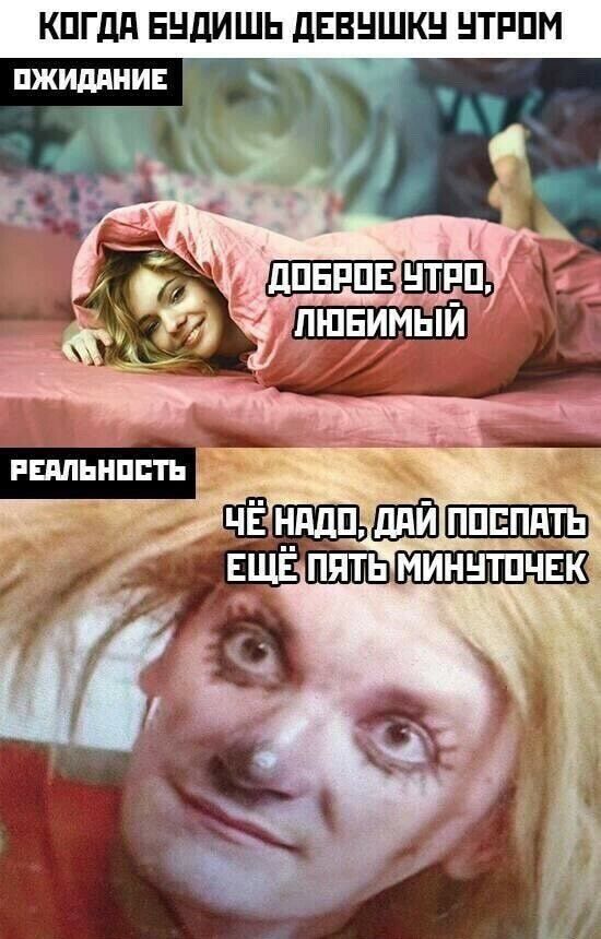 КПГдд ЕНДИШЬ дЕВНШКН НТРПМ пжидпниъ