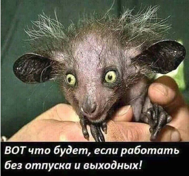 ВОТ что будет если работать без отпуска и выходных