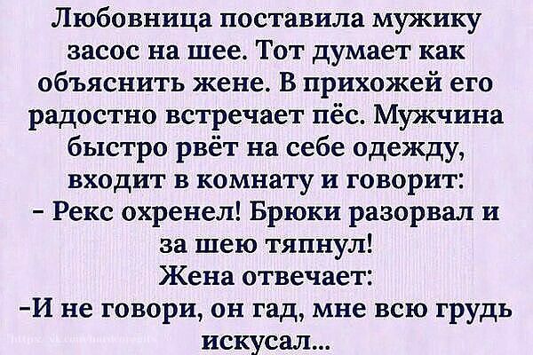Любовница поставила мужику засос на шее Тот думает как объяснить жене В прихожей его радостно встречает пёс Мужчина быстро рвёт на себе одежду входит в комнату и говорит Рекс охренел Брюки разорвал и за шею тяпнул Жена отвечает И не говори он гад мне всю грудь искусал