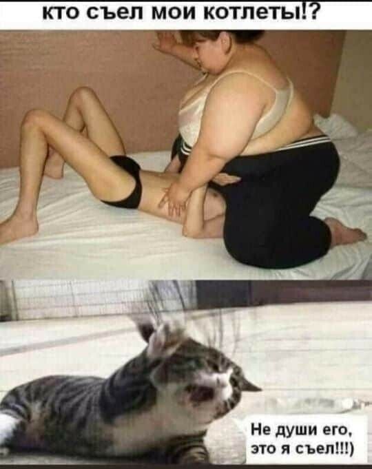 КТО съел МОИ КОТЛЕТЫ Не души его это я съел