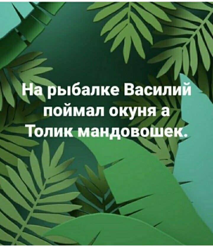 На рыбалке Васил поймал окуня а Толик мандовоше