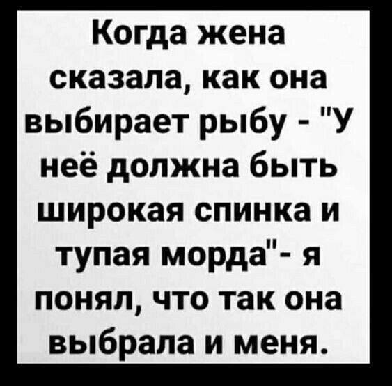 Когда жена сказала как она выбирает рыбу У неё должна быть широкая спинка и тупая морда я понял что так она выбрала и меня