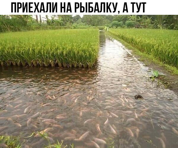 ПИРЕХАЛИ Нд РЫБАЛКУ АТУТ