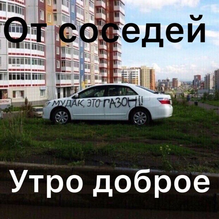 Утро доброе