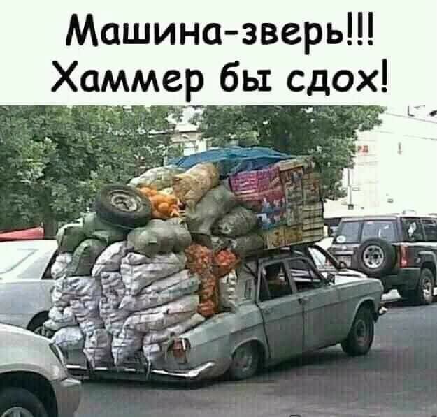 шіх ЬО РД с вы 06 НР ИЗ а МХ