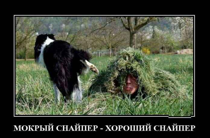 МОКРЫЙ СНАЙПЕР ХОРОШИЙ СНАЙПЕР