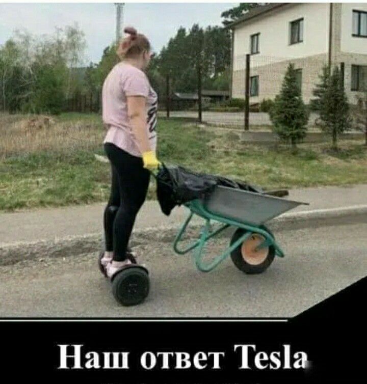 Наш ответ Тезіа