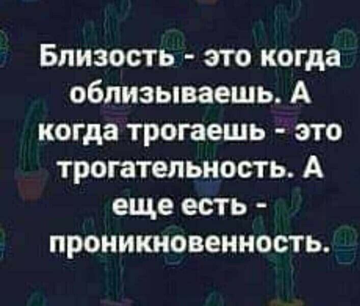 Близость это когда облизываешь А когда трогаешь это трогательность А еще есть проникновенность