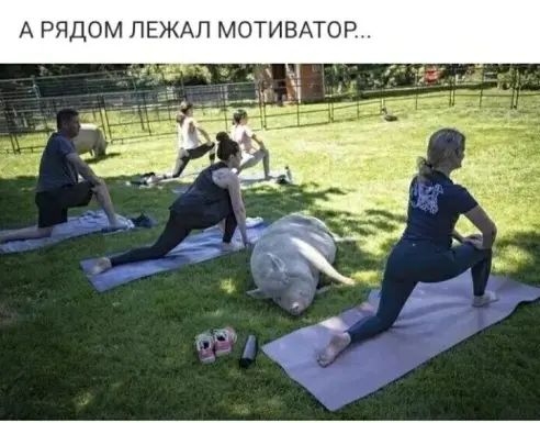 А РЯДОМ ЛЕЖАЛ МОТИВА ОР