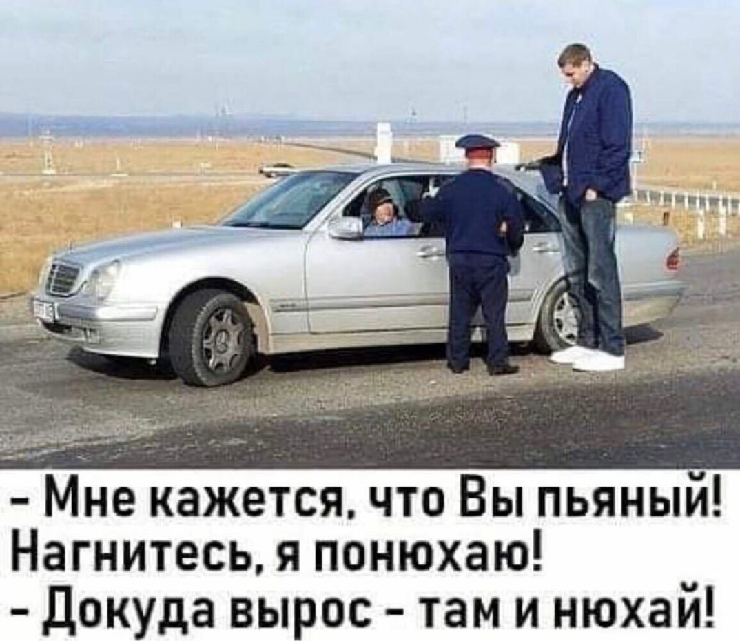 ____________ _ с Мне кажетсячто Вы пьяный Нагнитесь я понюхаю докуда вырос там и нюхай