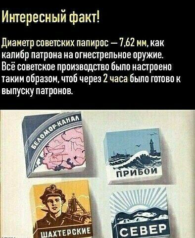 Интересный факт диаметр спветских папирпс 762 им как калибр патрона ка огнестрельное оружие Всё советское производство было настроена таким пбраэпммтпб через 2 часа было тово к выпуску патрокпв