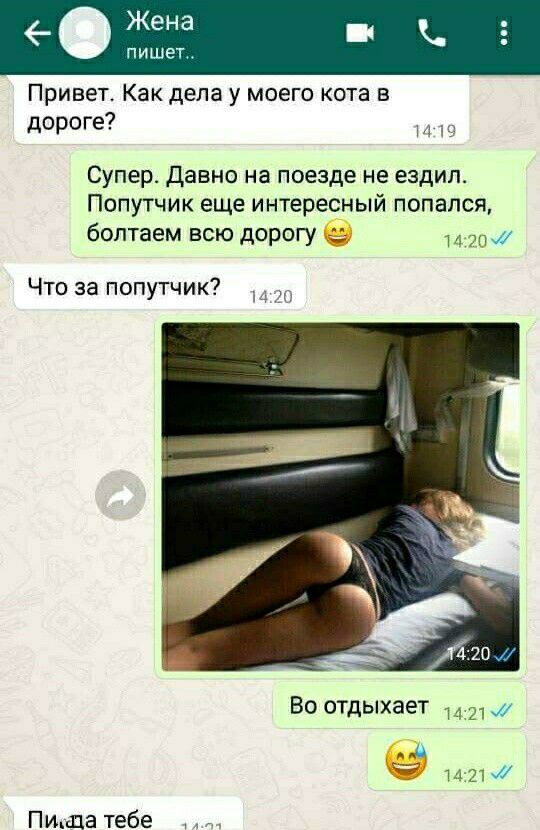 Привет Как дела у моего кота в дороге Супер давно на поезде не ездил Попутчик еще интересный попался болтаем всю дорогу ми Что за попутчик Во отдыхает 21 м _ц игиж Пицца тебе