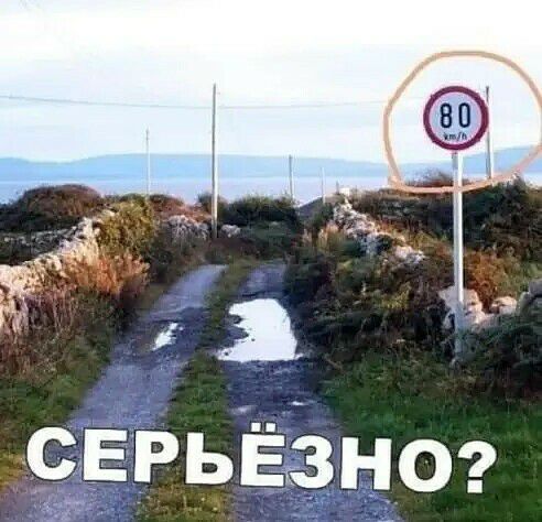 г 3 1 9_ЕРЬЁЗЦО