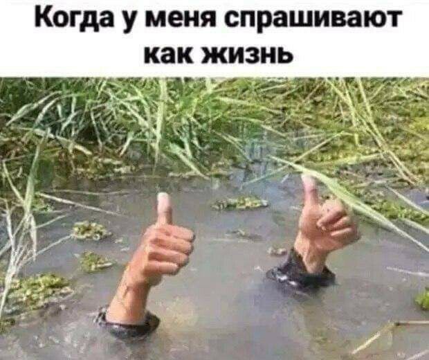 Когда У МЕНЯ спрашивают как ЯШЗНЬ