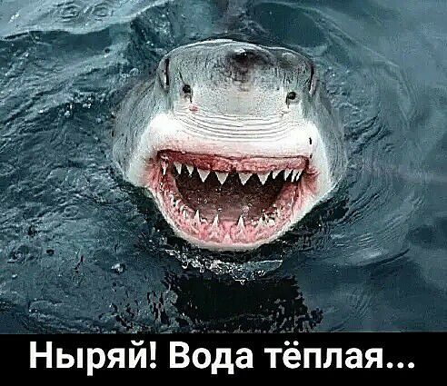 Ньірйй Вода тёплая