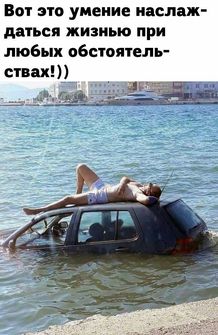 Вот это умение наслаж даться жизнью при любых обстоятель