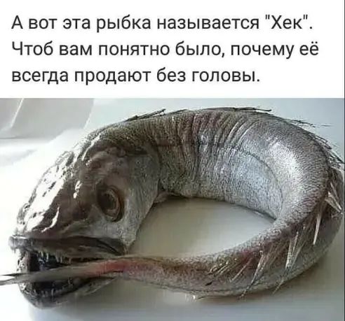 А вот эта рыбка называется Хек Чтоб вам понятно было почему её всегда продают без головы