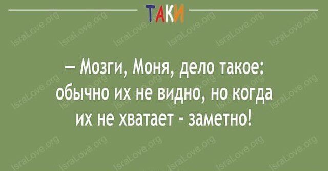 Мозги Моня дело такое обычно их не видно но когда их не хватает заметно