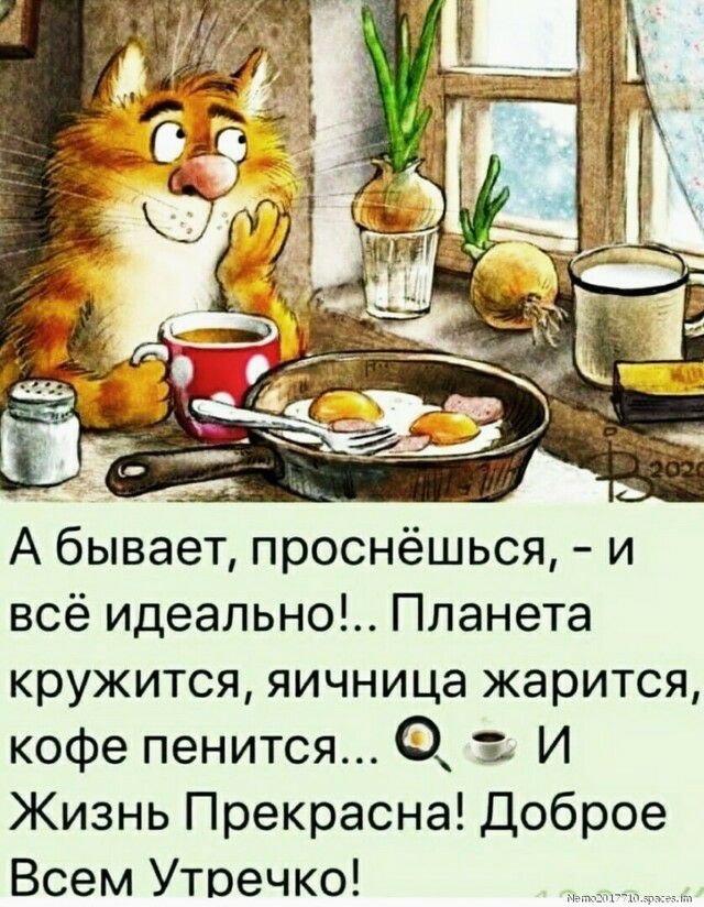 А бывает проснёшься и всё идеально Планета кружится яичница жарится кофе пенится И Жизнь Прекрасна Доброе Всем Утоечко
