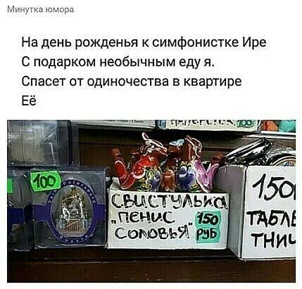 мтюмпрд На день рожденья к симфонистке Ире С подарком необычным еду я Спасет от одиночества в квартире