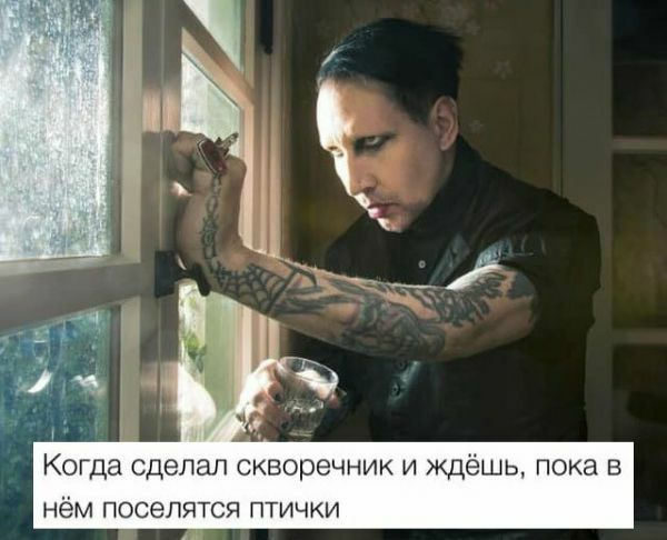 Когда сделал скворечник и ждёшь пока в нём поселятся птички