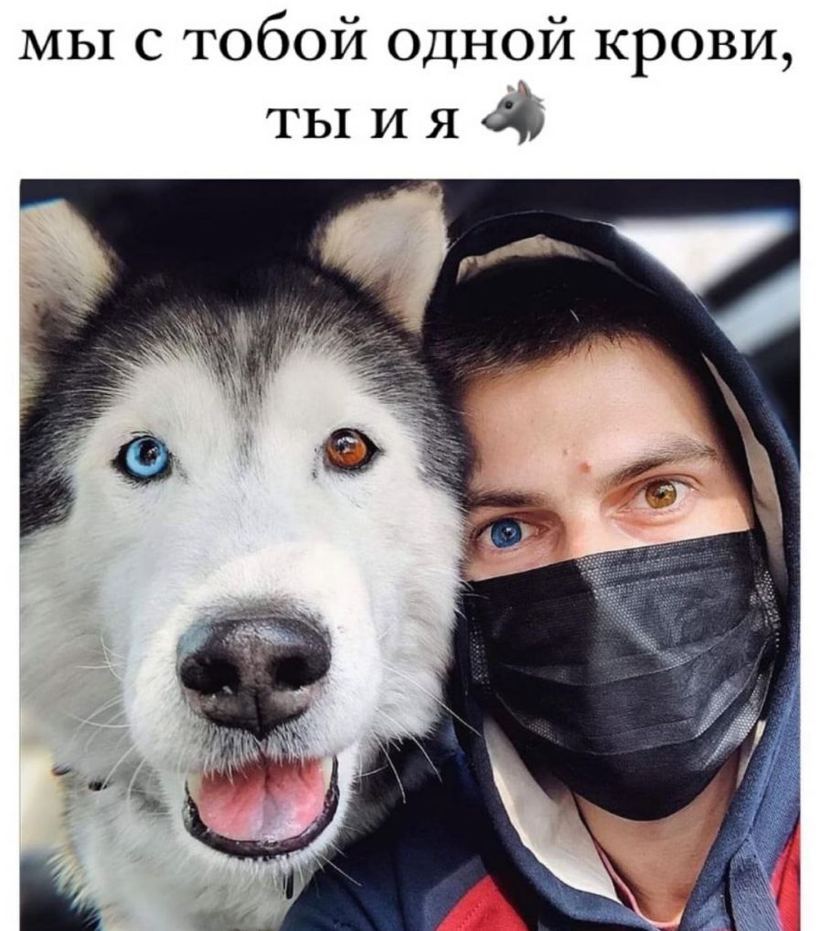 МЫ с тобой одной крови ТЫ и Я