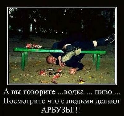 А вы говорите водка пиво Посмотрите что с людьми делают АРБУЗЫ