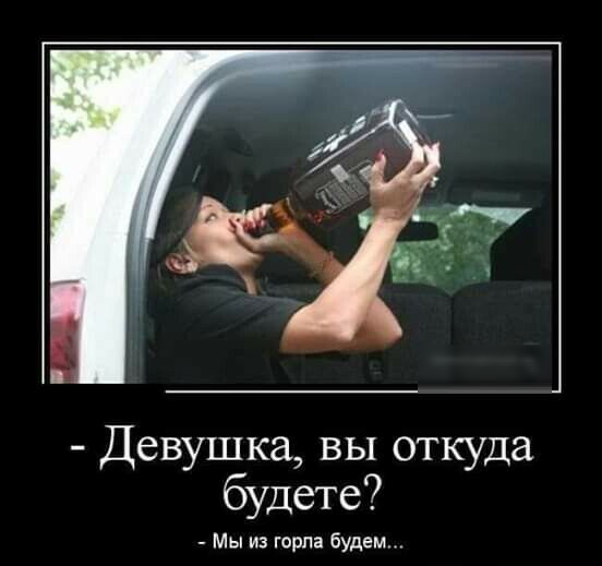 Девушка вы откуда будете Мы из горла будем