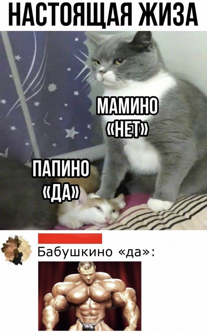 НАСТОЯЩАЯ ЖИЗА пдПййо