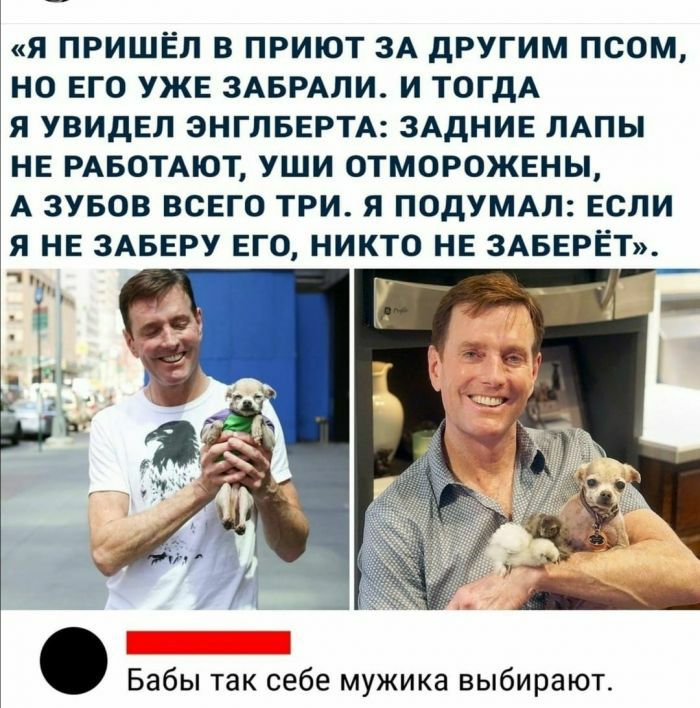 Я ПРИШЕЛ В ПРИЮТ ЗА дРУГИМ ПСОМ НО ЕГО УЖЕ ЗАБРАЛИ И ТОГДА Я УВИдЕЛ ЭНГЛБЕРТА ЗАДНИЕ ЛАПЫ НЕ РАБОТАЮТ УШИ ОТМОРОЖЕНЫ А ЗУБОВ ВСЕГО ТРИ Я ПОДУМАЛ ЕСЛИ Я НЕ ЗАБЕРУ ЕГО НИКТО НЕ ЗАБЕРЁТ Бабы так себе мужика выбирают