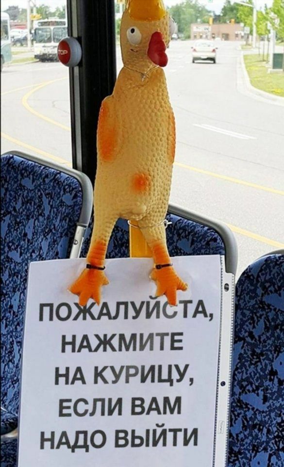 і ПОЖАЛУЙСТА НАЖМИТЕ НА курицу если ВАМ НАДО выйти