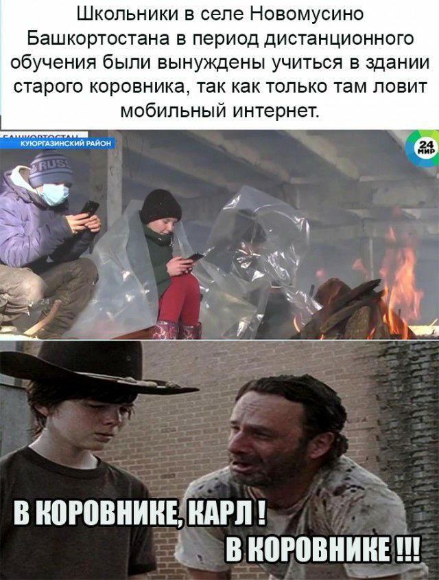 Школьники в селе Новомусино Башкортостана в период дистанционного обучения были вынуждены учиться в здании старого коровника так как только там ловит мобильный интернет __ В НВРПВНИНЕ КАРЛ В НПРПВНИНЕ Щ