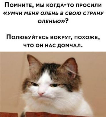 Помните мы КОГДА ТО просили умчи меня олень в свою стмну олвмью Полювуйтвсь вокруг похоже что он ндс пом иш