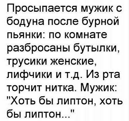 Просыпается мужик с бодуна после бурной пьянки по комнате разбросаны бутылки трусики женские лифчики и тд Из рта торчит нитка Мужик Хоть бы липтон хоть бы липтон