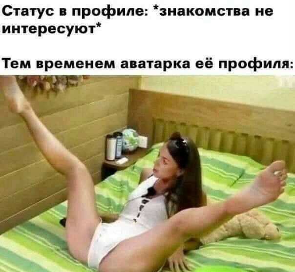 Статус в профиле знакомства не интересуют Тем временем аватарка её профиля