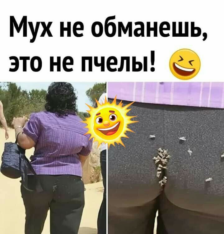 Мух не обманешь это не пчелы