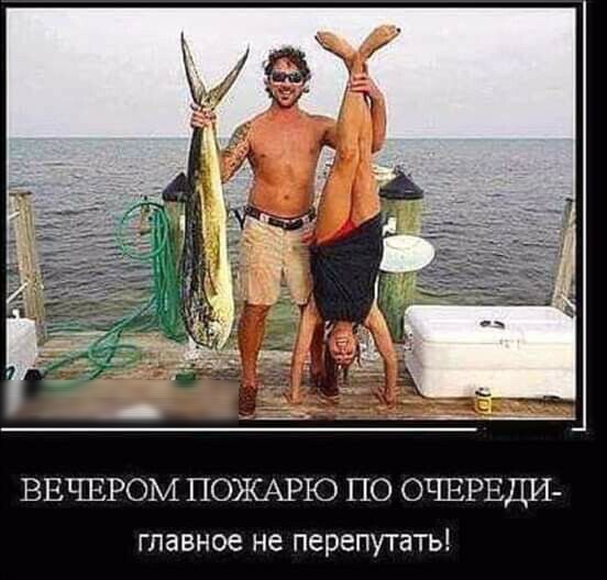 ВЕЧЕРОМ ПОЖАРЮ ПО ОЧЕРЕДИ главное не перепутать