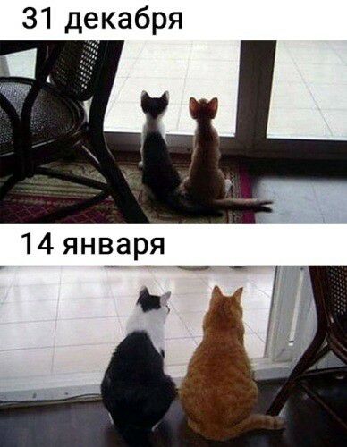 31 декабря А
