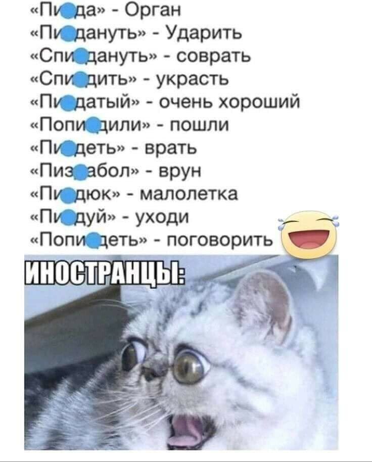 Пу да Орган Пдануть Ударить Спи дануть соврать Спи Ёдить украсть Пу датый очень хороший Попи дили пошли Птдеть врать Пиз абол врун ПИдюк малолетка Пудуй уходи __ Ч 3 Попи деть поговорить
