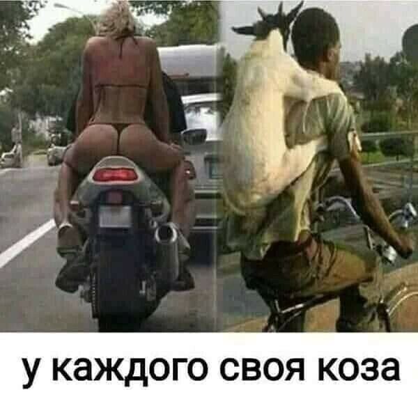 У К8КД0ГО СВОЯ КОЗЗ