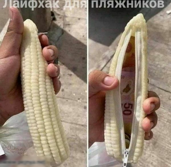 _ ПЛЯЖНИКОВ
