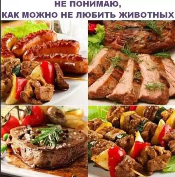 НЕ ПОНИМАЮ КАК МОЖНО НЕ ЛЮБИТЬ ЖИВОТНЫХ