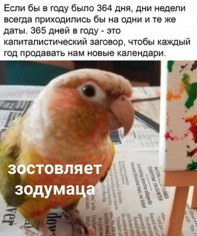 Если бы в году было 364 дня дни недели всегда приходились бы на одни и те же даты 365 дней в году это капиталистический заговор чтобы каждый год продавать нам новые календари
