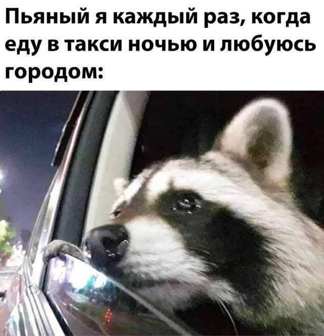 Пьяный я каждый раз когда еду в такси ночью и любуюсь городом