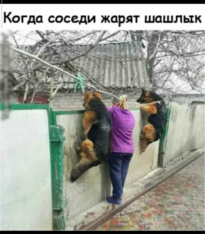 Когда соседи жарят ШОШЛЫК _ к _ _ _ _