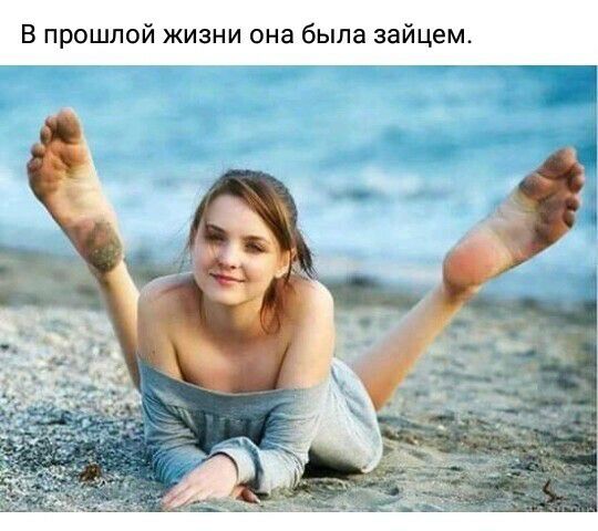 В прошлой жизни она была зайцем