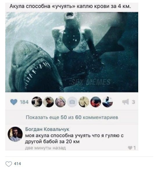 Акула способна учуять каплю крови за 4 км 0 с г 50 1 во тин пп Бошан Ковапьчук моя акула способна учупть что я гуляю другой бабой за 20 км 414