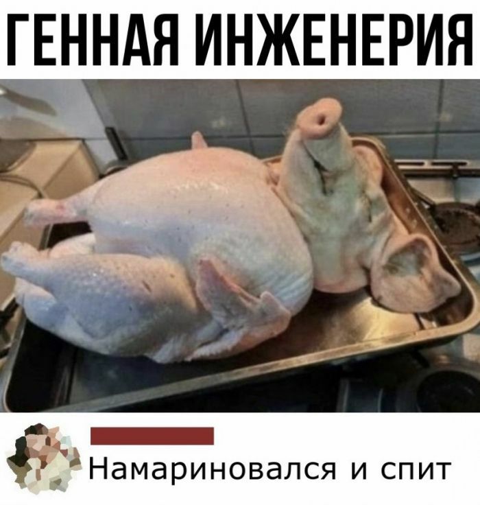 ГЕННАН ИНЖЕНЕРИН _ Намариновался и спит