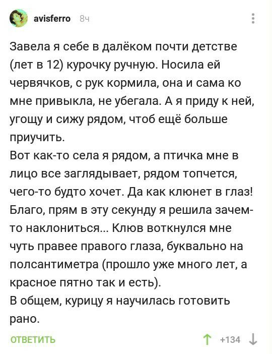 ауіэіегго Завела я себе в далёком почти детстве лет в 12 курочку ручную Носила ей червячков с рук кормила она и сама ко мне привыкла не убегала А я приду к ней угощу и сижу рядом чтоб ещё больше приучить Вот как то села я рядом а птичка мне в лицо все заглядывает рядом топчется чего то будто хочет Да как клюнет в глаз Благо прям в эту секунду я решила зачем то наклониться Клюв воткнулся мне чуть п